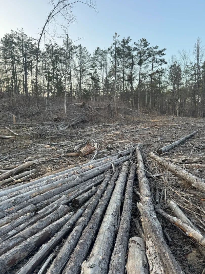 70.1 Acres in Yalobusha County, MS