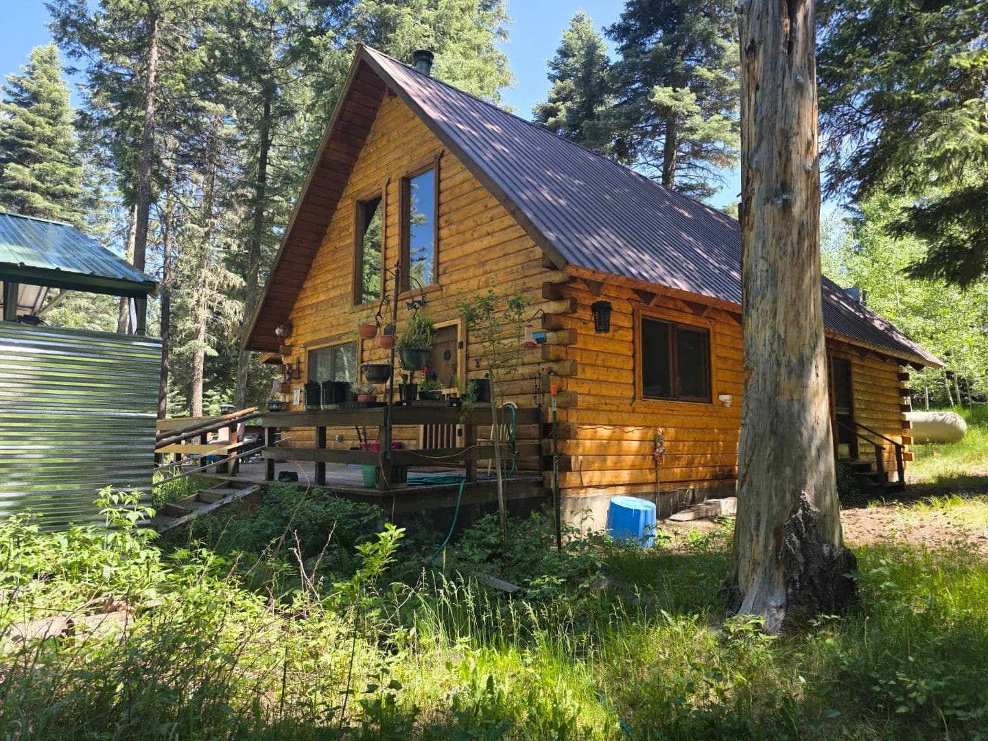 Mountain Log Cabin in Bayfield, CO for Sale on 0.76 Acres - Near Vallecito Lake - land for sale