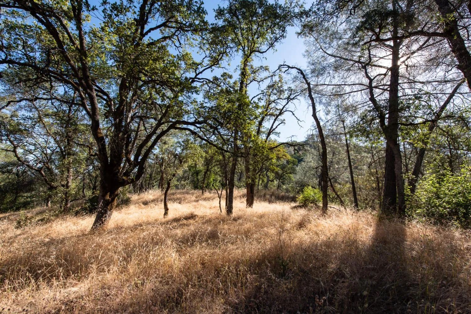 Property from 1031 Trails End Drive - KW - Placerville, California, 95667