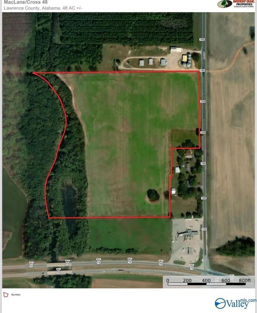 48 Acres of Land for Sale in Courtland, Alabama - Courtland, Alabama, 35618
