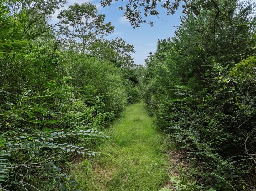 Property from TBD West Caney Road - KW