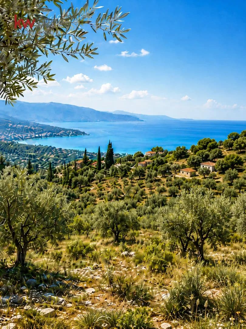 Land for Sale in Kefalonia, Kefallinia Prefecture - land for sale