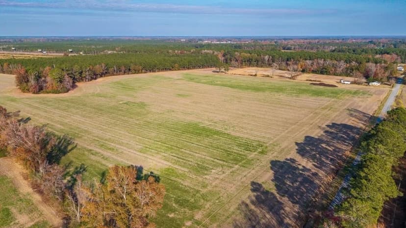 Prime 20-/+ Acre Farmland for Sale in Duplin County, North Carolina!
