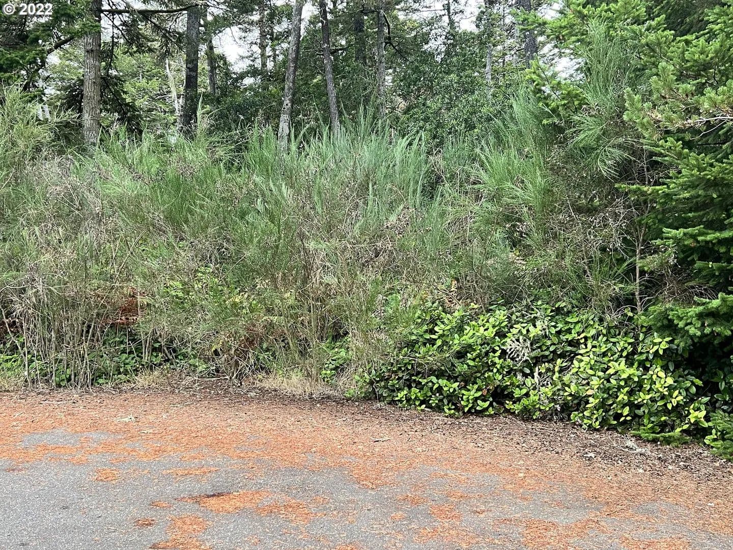 Property from 8th ST - KW - Florence, Oregon, 97439