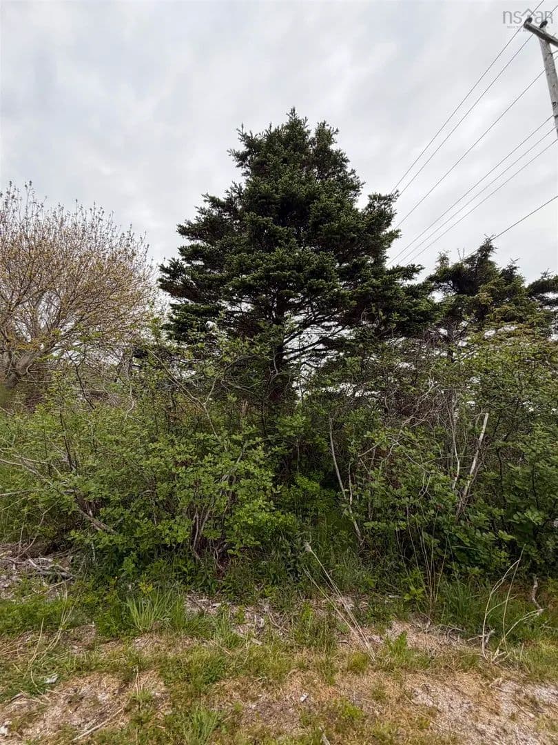 Property from 3661 Highway 217 - KW - Canada