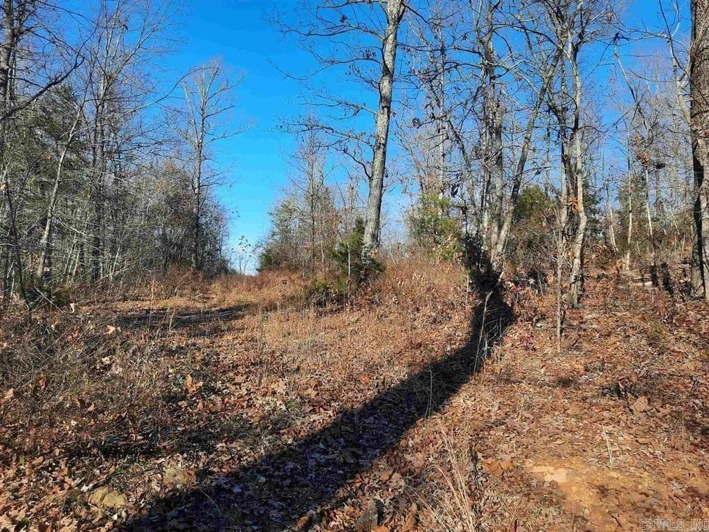 Property from 00 Wildhaven Road - KW - Mountain View, Arkansas, 72560