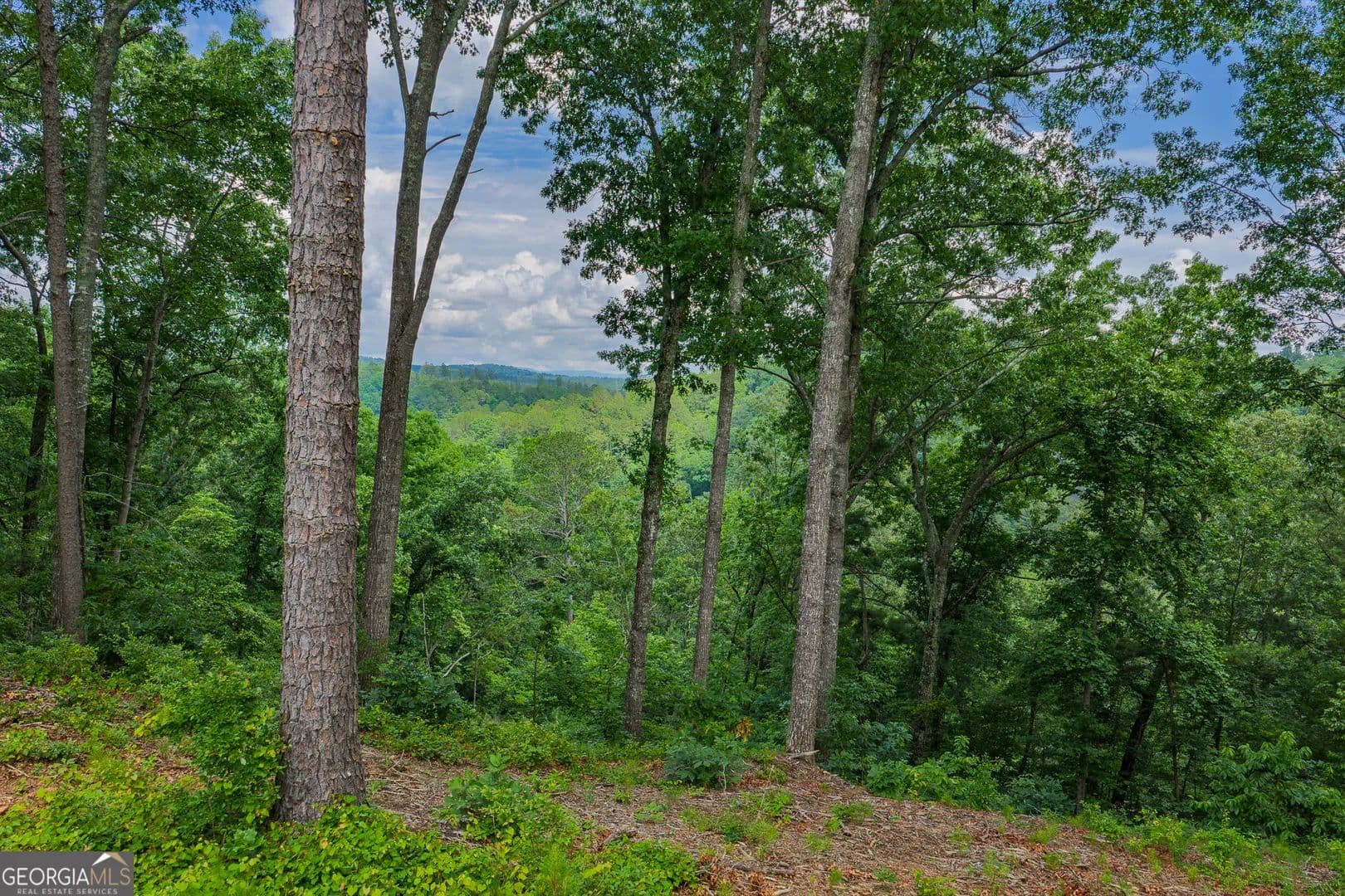 4.57 Acres of Land for Sale in Talking Rock, Georgia - Talking Rock, Georgia, 30175