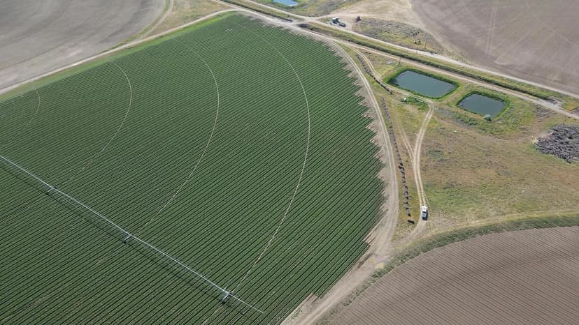 Preston Organic Irrigated Farm
