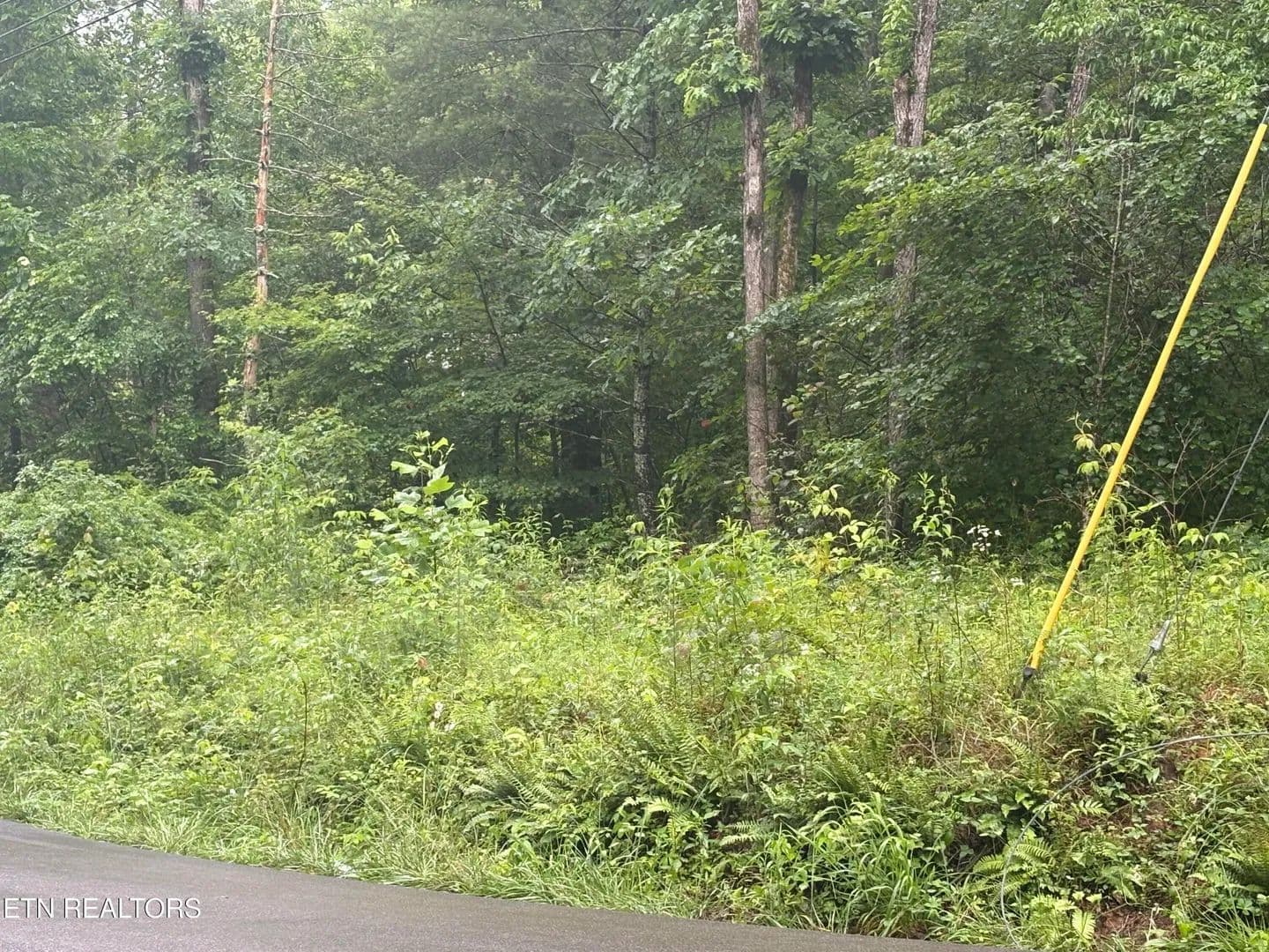 Property from Brown Creek Drive - KW - Crossville, Tennessee, 38571