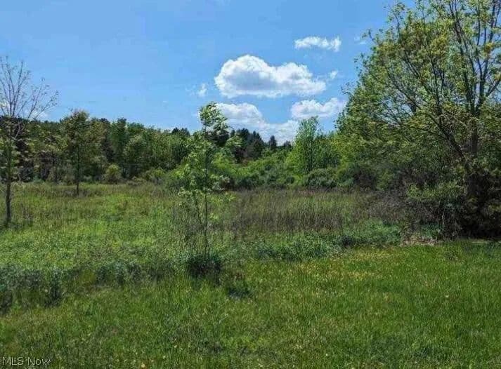 2.69 Acres of Land for Sale in Medina, Ohio - Medina, Ohio, 44281