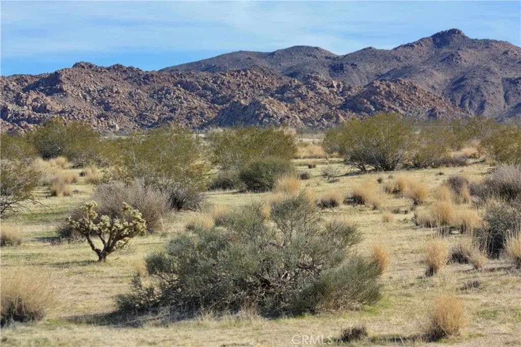 Property from 7130 Sunfair Road - KW - Joshua Tree, California, 92252