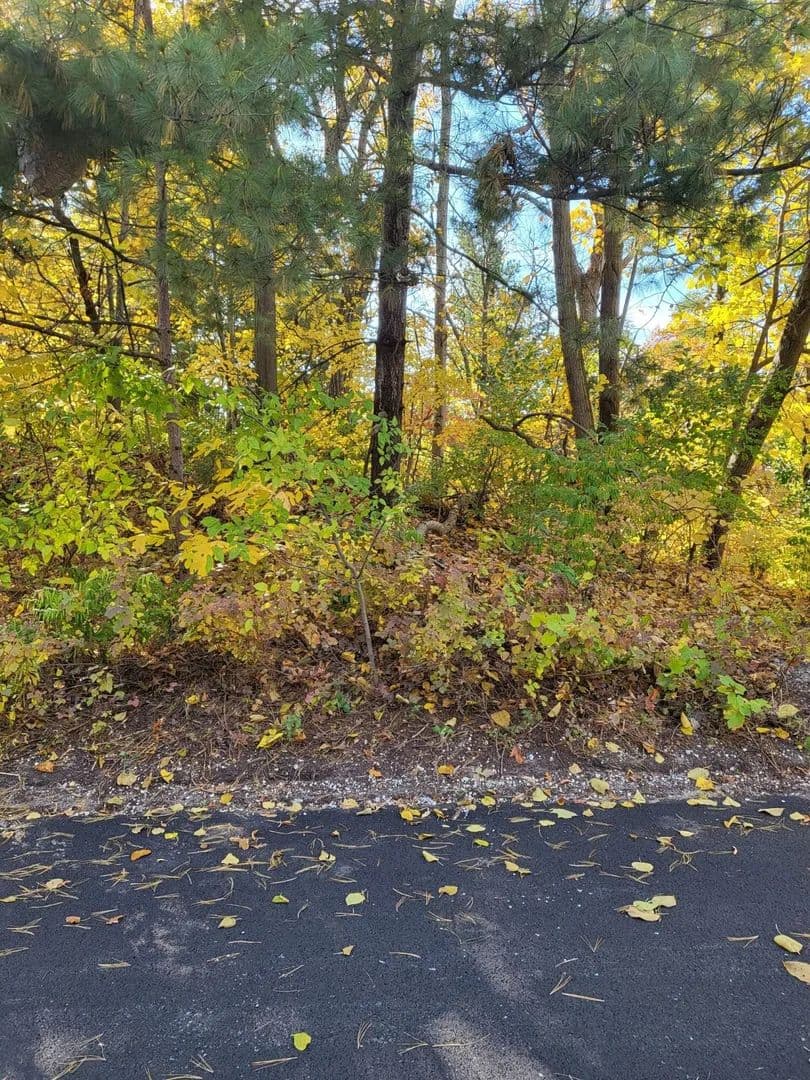 Property from 3.5 Chestnut Court - KW - Ogden Dunes, Indiana, 46368
