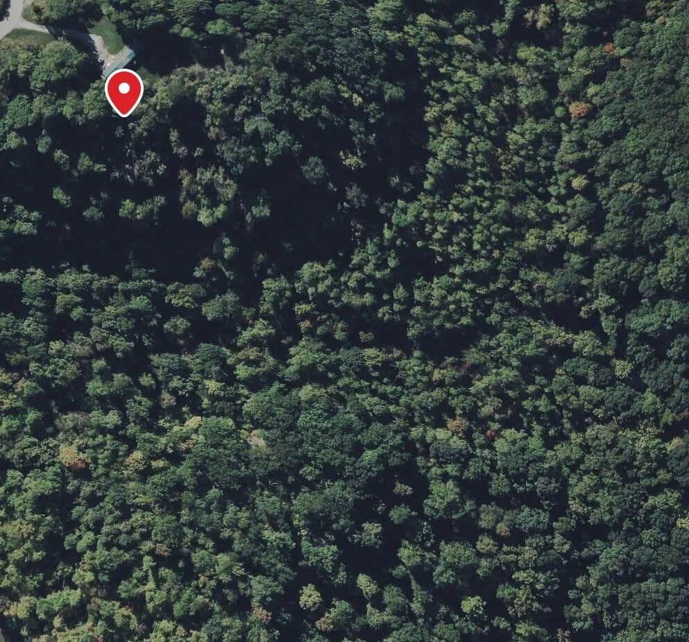 20 Acres of Land for Sale in Stanford, Kentucky - Stanford, Kentucky, 40484