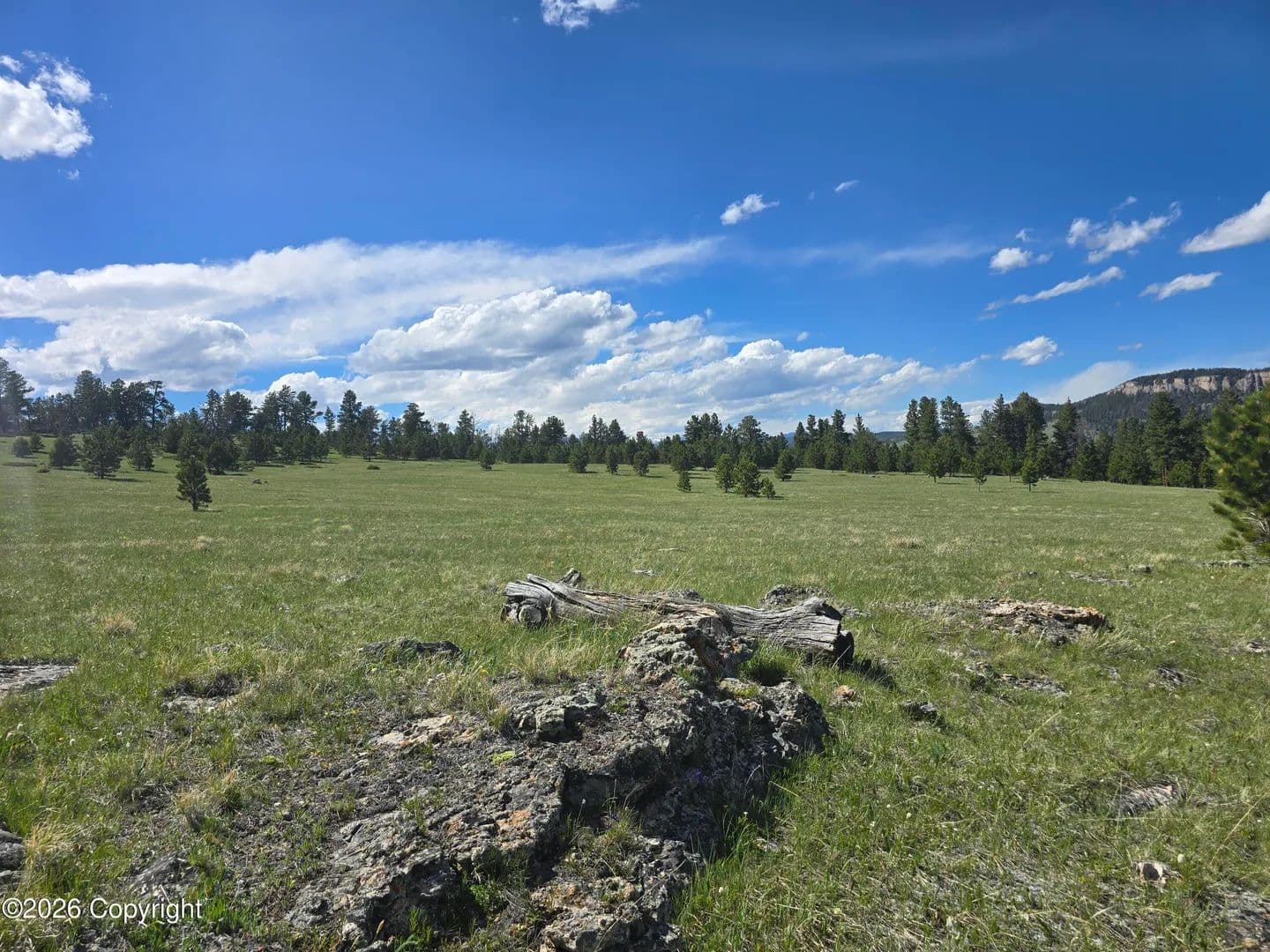 10.99 Acres of Land for Sale in Buffalo, Wyoming - Buffalo, Wyoming, 82834