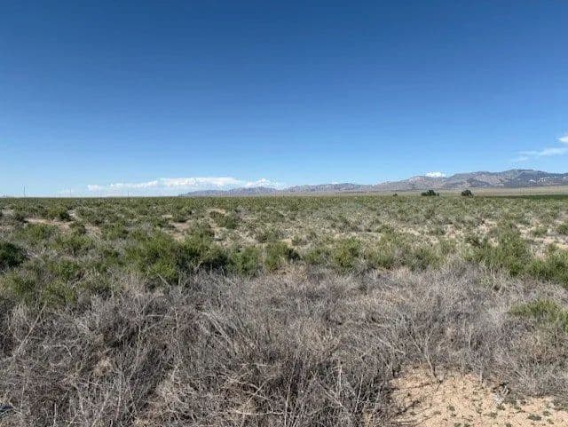 Land -Single Family Acreage in Milford