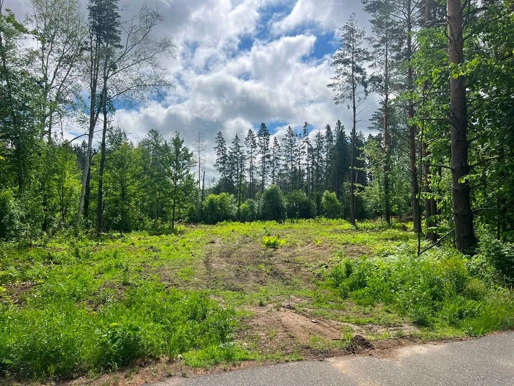 Land -Single Family Acreage in Grand Rapids - Grand Rapids, Minnesota, 55744