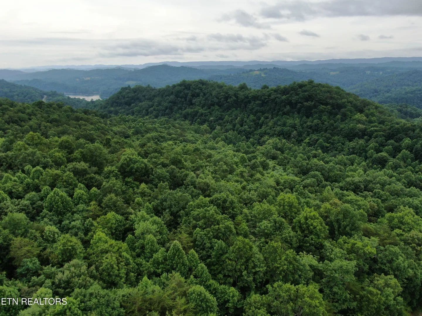 Property from 171 Bluff View Rd - KW - New Tazewell, Tennessee, 37825