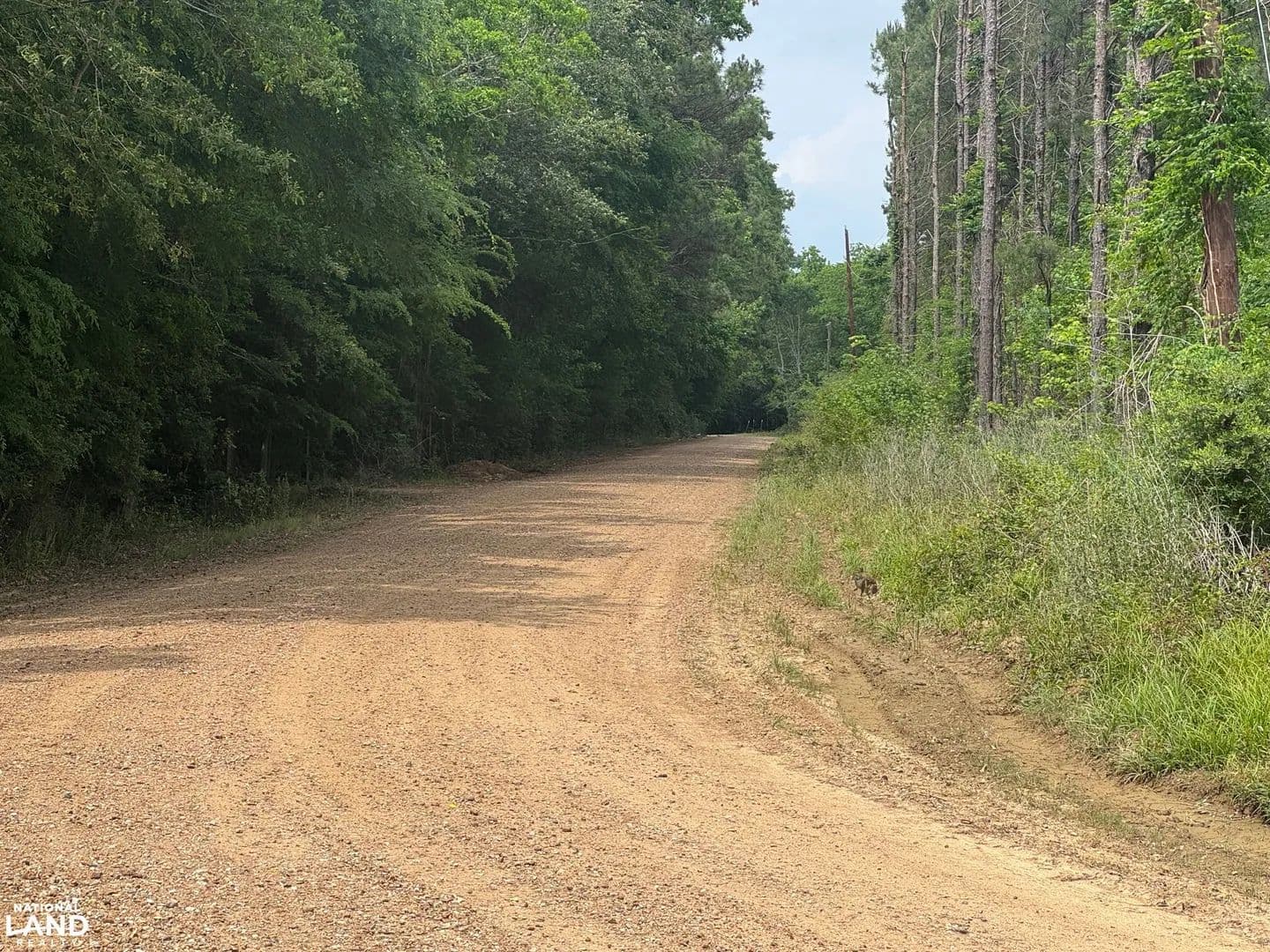 Evangeline Parish Timber - Hunting - Rural Homesite Tract - Ville Platte, Louisiana, 70586
