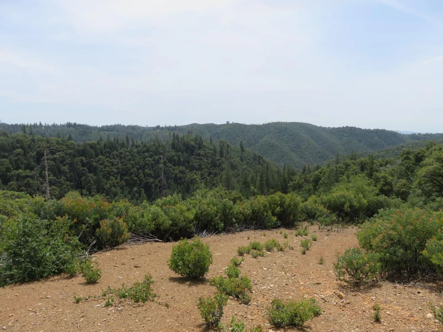 Property from 749 Blossom Lane - KW - Mokelumne Hill, California, 95245