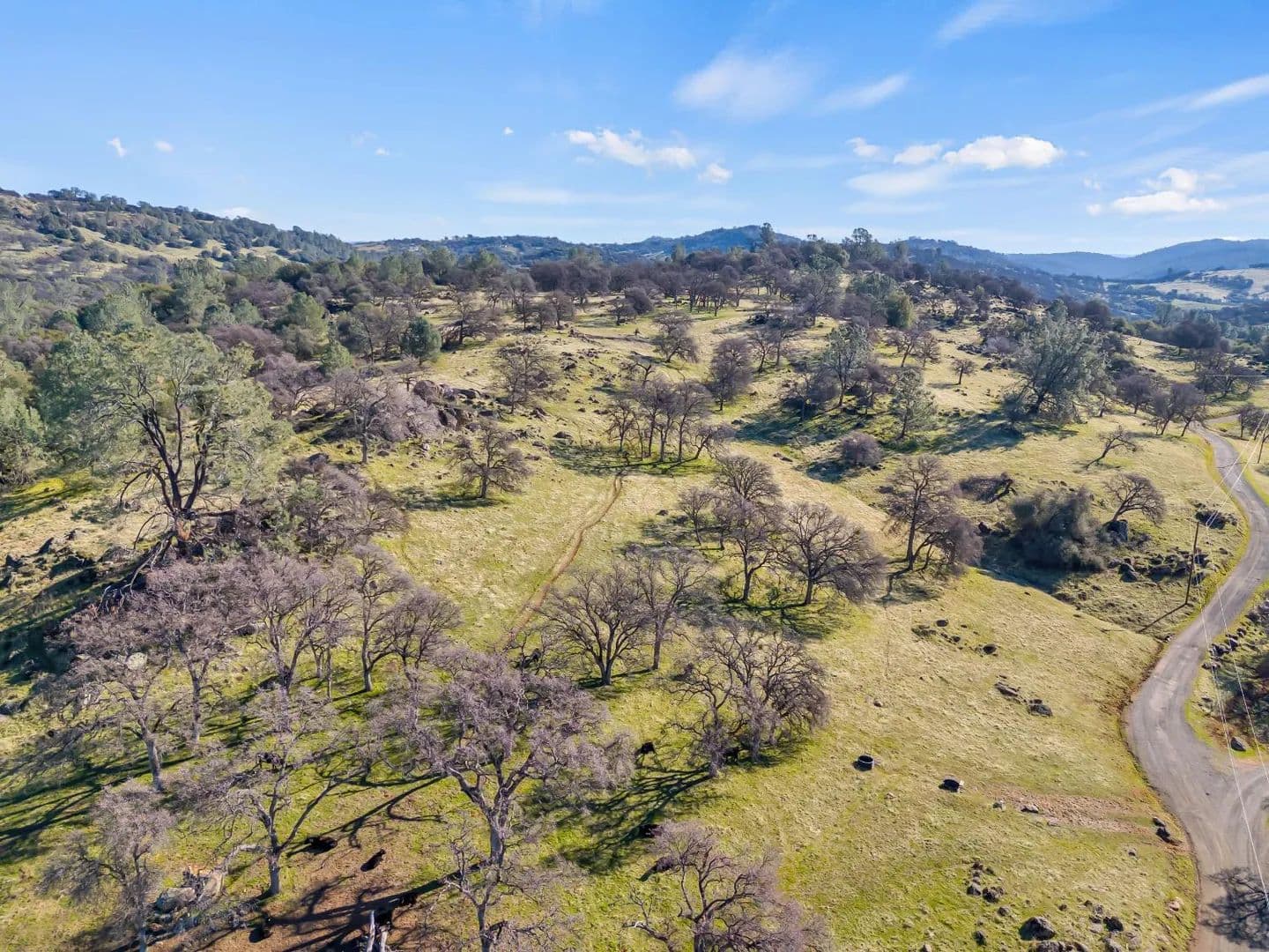 91.28 Acres of Land for Sale in Grass Valley, California - Grass Valley, California, 95949