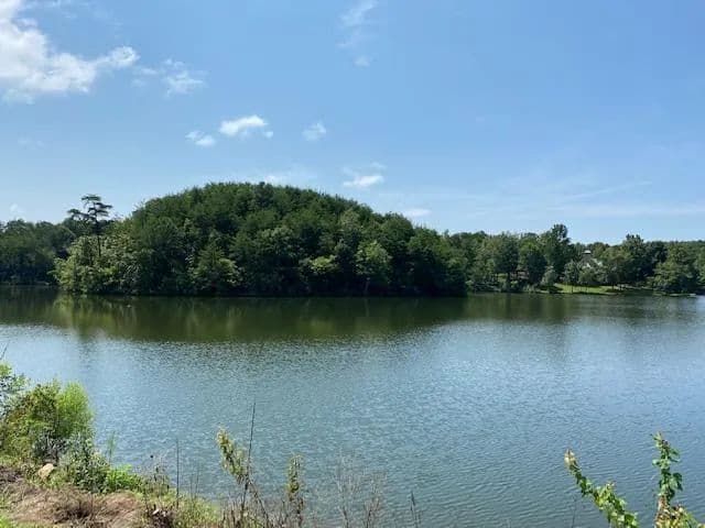 Sawtooth Branch Private Lake Lot 10 - Clanton, Alabama, 35045