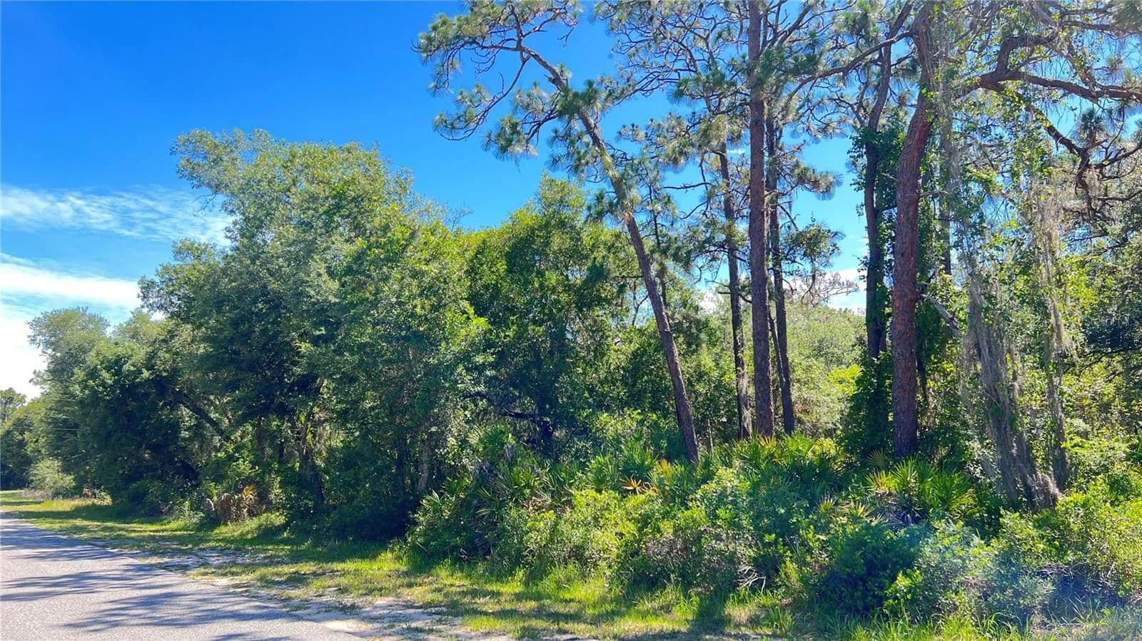 1.05 Acres of Land for Sale in Polk County, Florida - Florida, 33855