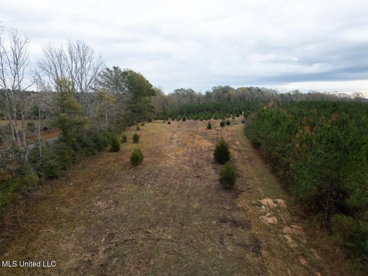 283 Acres of Land for Sale in Liberty, MS - Liberty, Mississippi, 39645