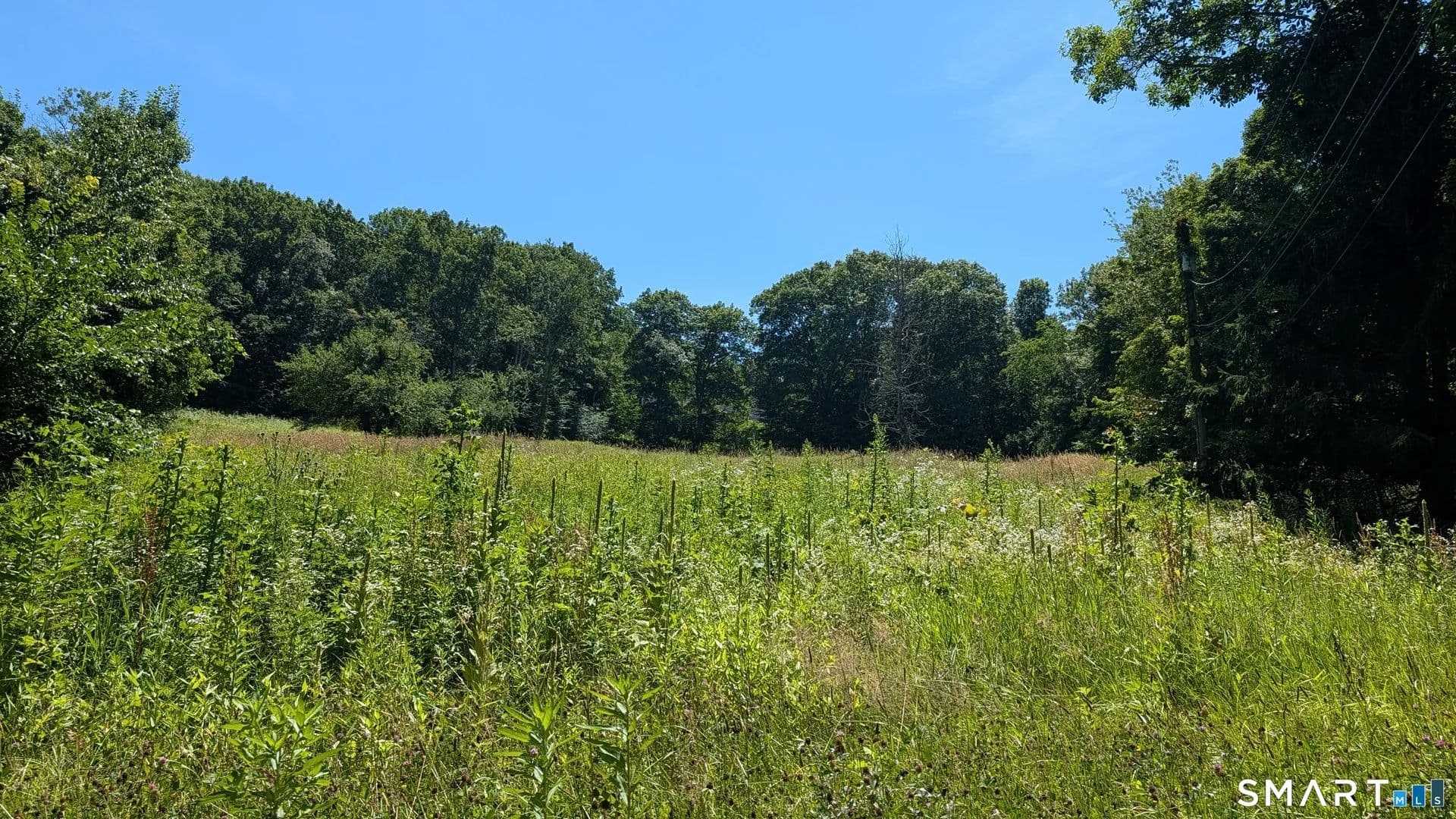 14.9 Acres of Land for Sale in Woodbury, CT - land for sale