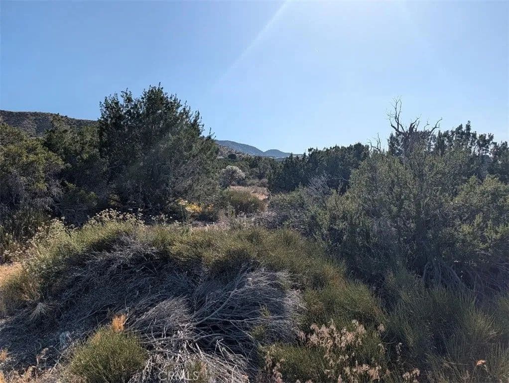 Property from 8 Mountain Road - KW - Pinon Hills, California, 92372