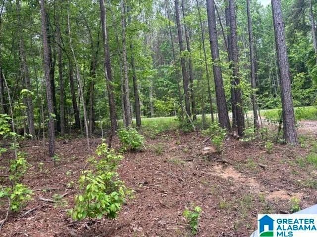 1 Acre of Land for Sale in Wedowee, Alabama - Wedowee, Alabama, 36278