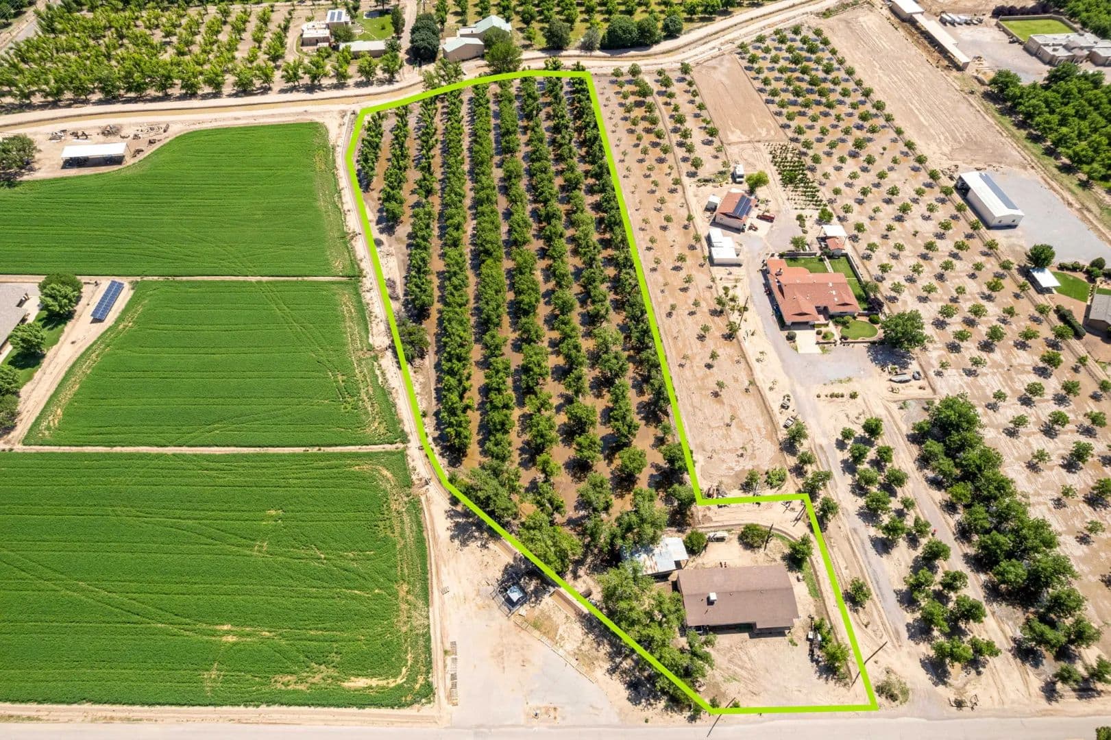 Country Home in Mesilla, New Mexico for Sale - Pecan Trees, Water Rights & Ag Potential - New Mexico, 88005