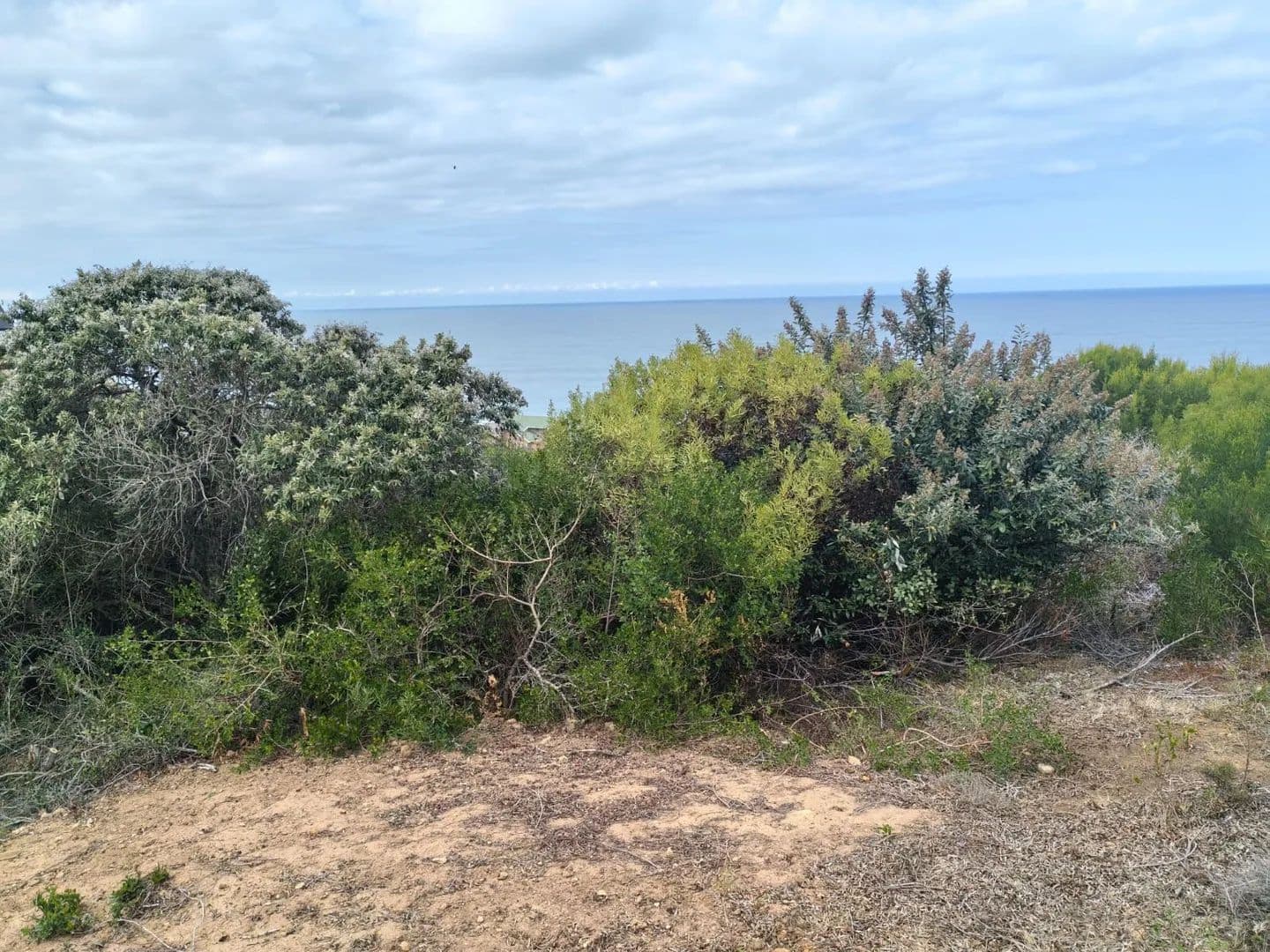900 Acres of Land for Sale in Mossel Bay, Western Cape - South Africa