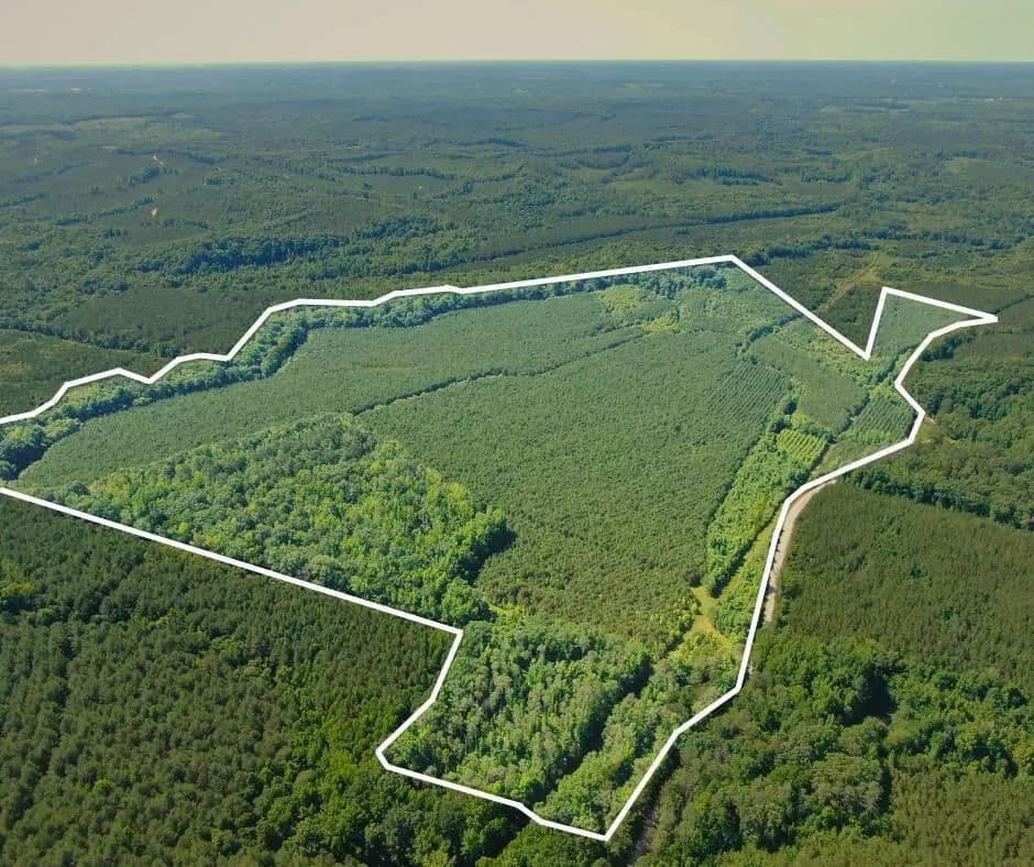 Property from Reich Road - KW - Tupelo, Mississippi, 38847