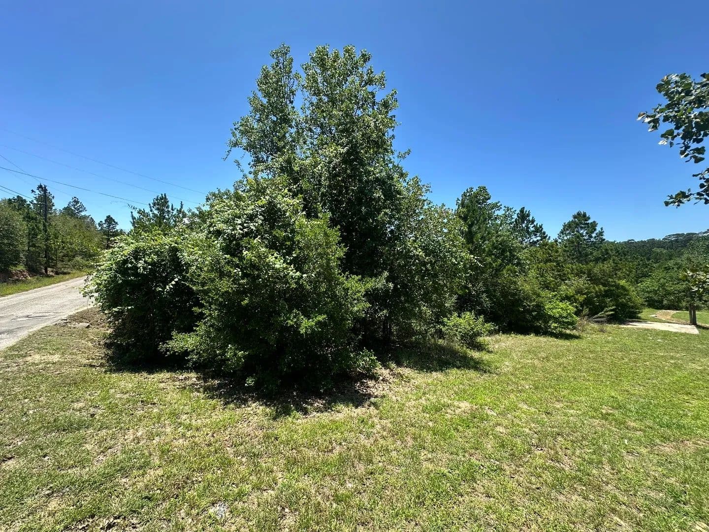 0.32 Acres of Land for Sale in Bastrop, Texas - Bastrop, Texas, 78602