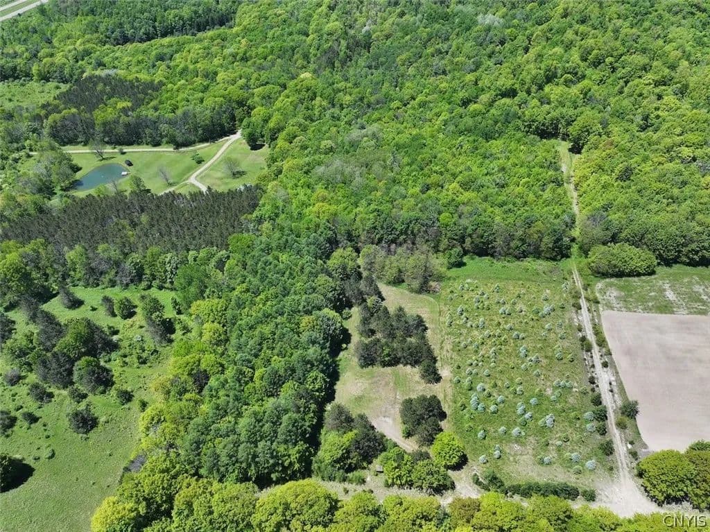 Property from N Branch Road - KW - Friendship, New York, 14739