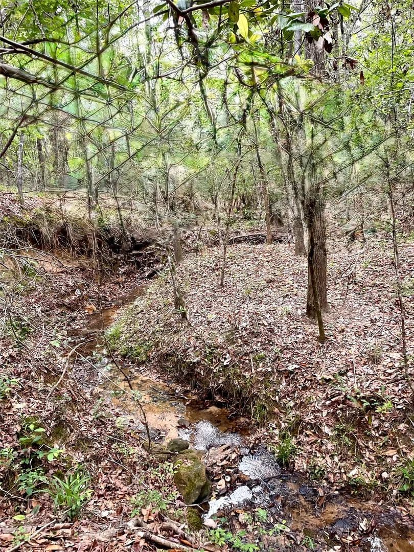 Property from TBD Tony Peebles Road - KW - Livingston, Texas, 77351