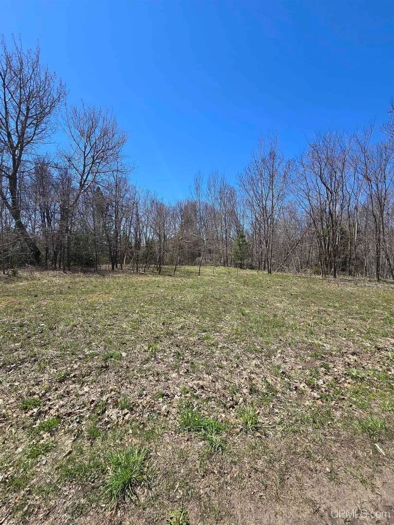Vacant Land in Hancock - Hancock, Michigan, 49930