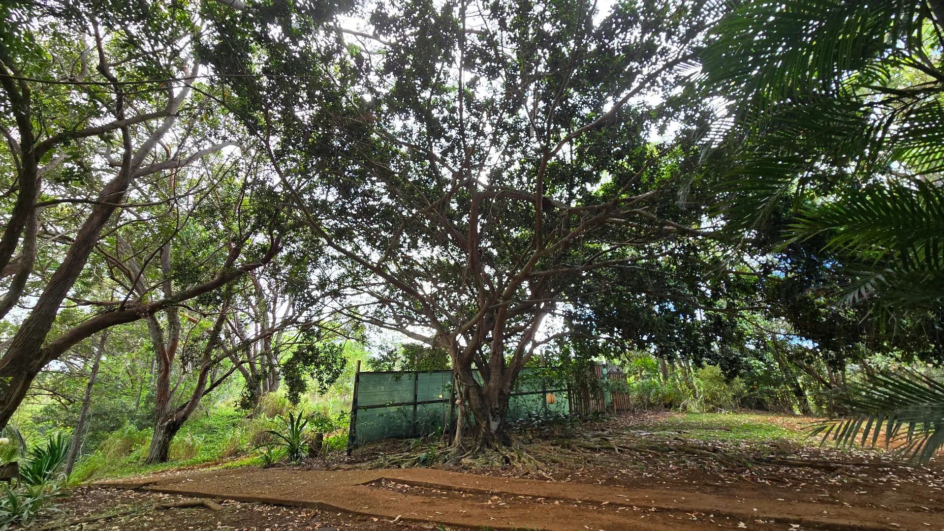 Vacant Land in Kalaheo - Kalaheo, Hawaii, 96741