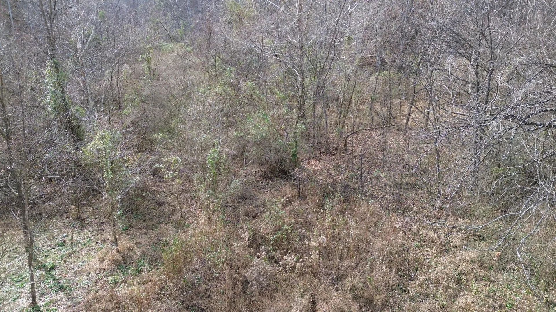 Property from 237A Meatscaffold Rd - KW - Jackson, Kentucky, 41339