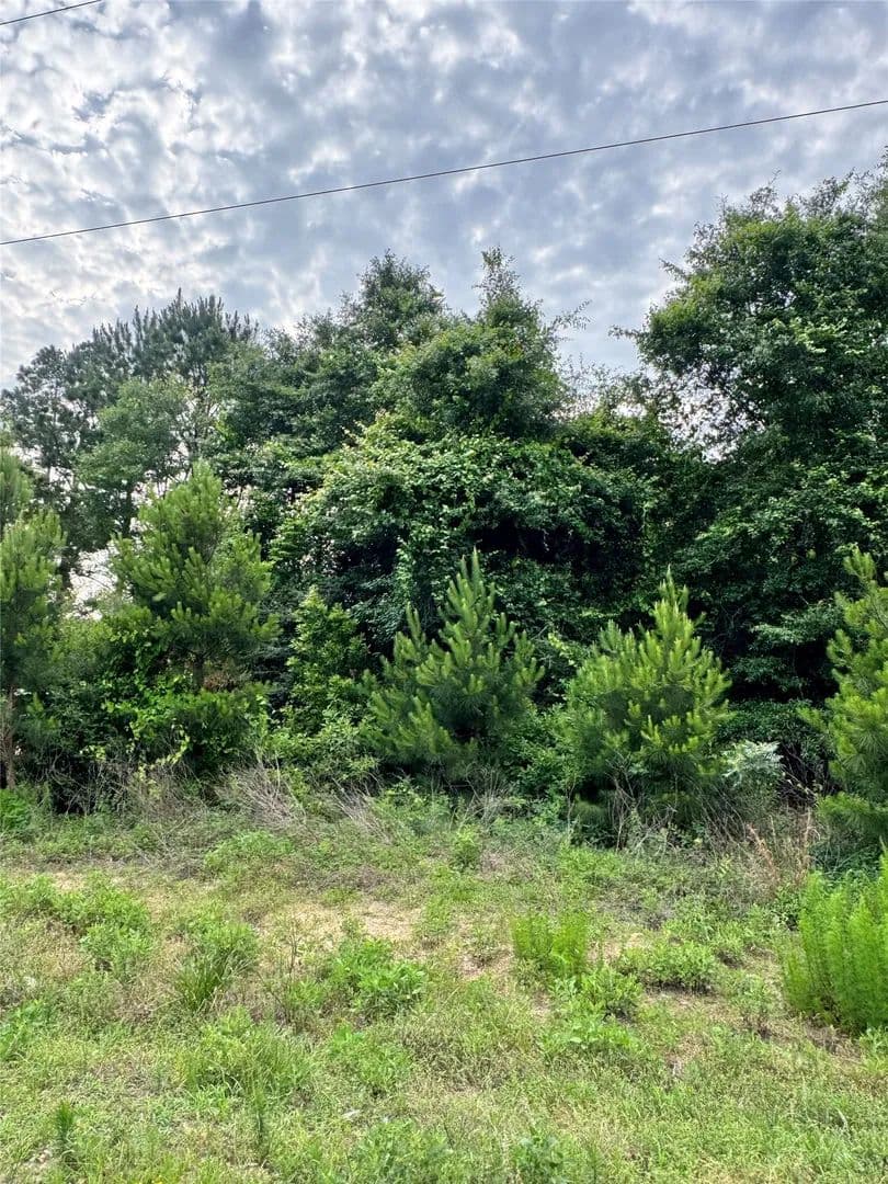 Property from 476 County Road 3773 - KW - Cleveland, Texas, 77327