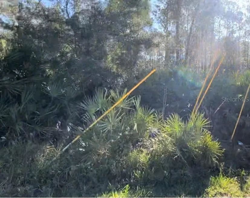 Vacant Land in Deland - Deland, Florida, 32724
