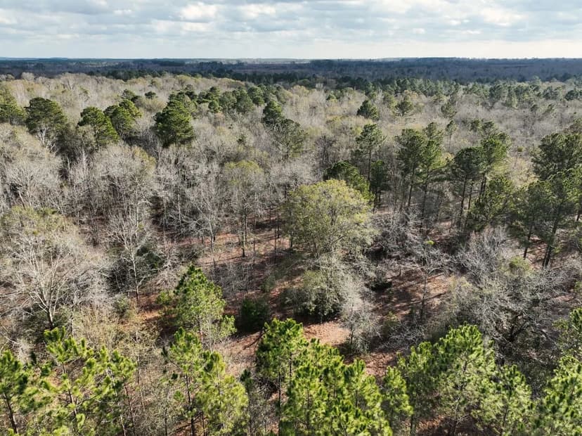 113.6 +/- Ac China Hill Rd, Milan, GA