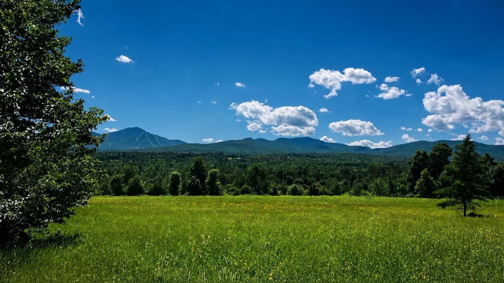Property from 237 Loop Road - KW - Jay, Vermont, 5859