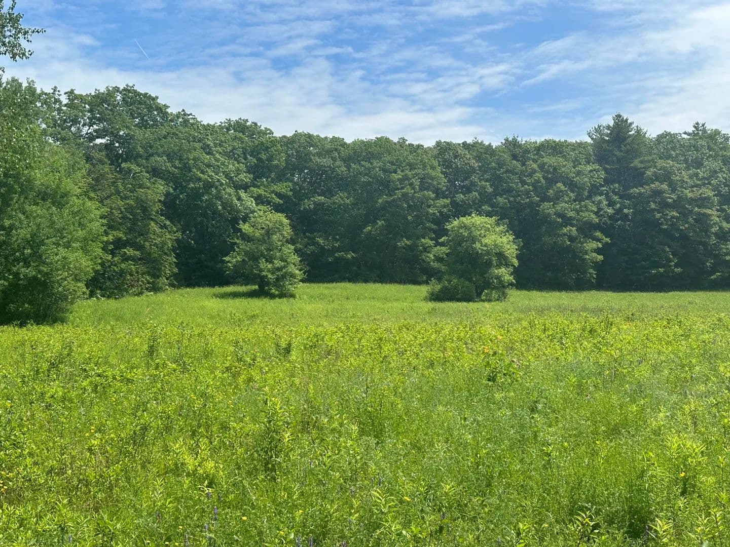 11.6 Acres of Land for Sale in Belfast, ME - Belfast, Maine, 04915