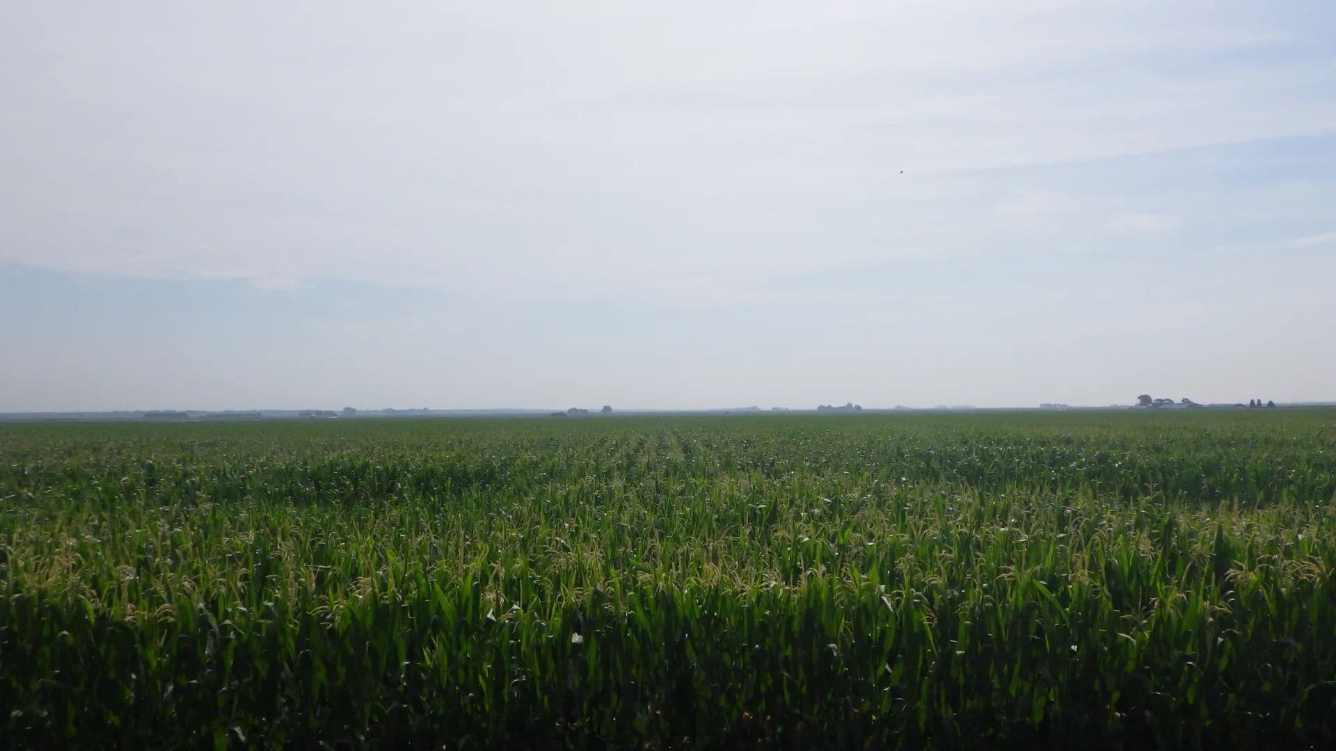 Buterbaugh Farm - Gothenburg, Nebraska