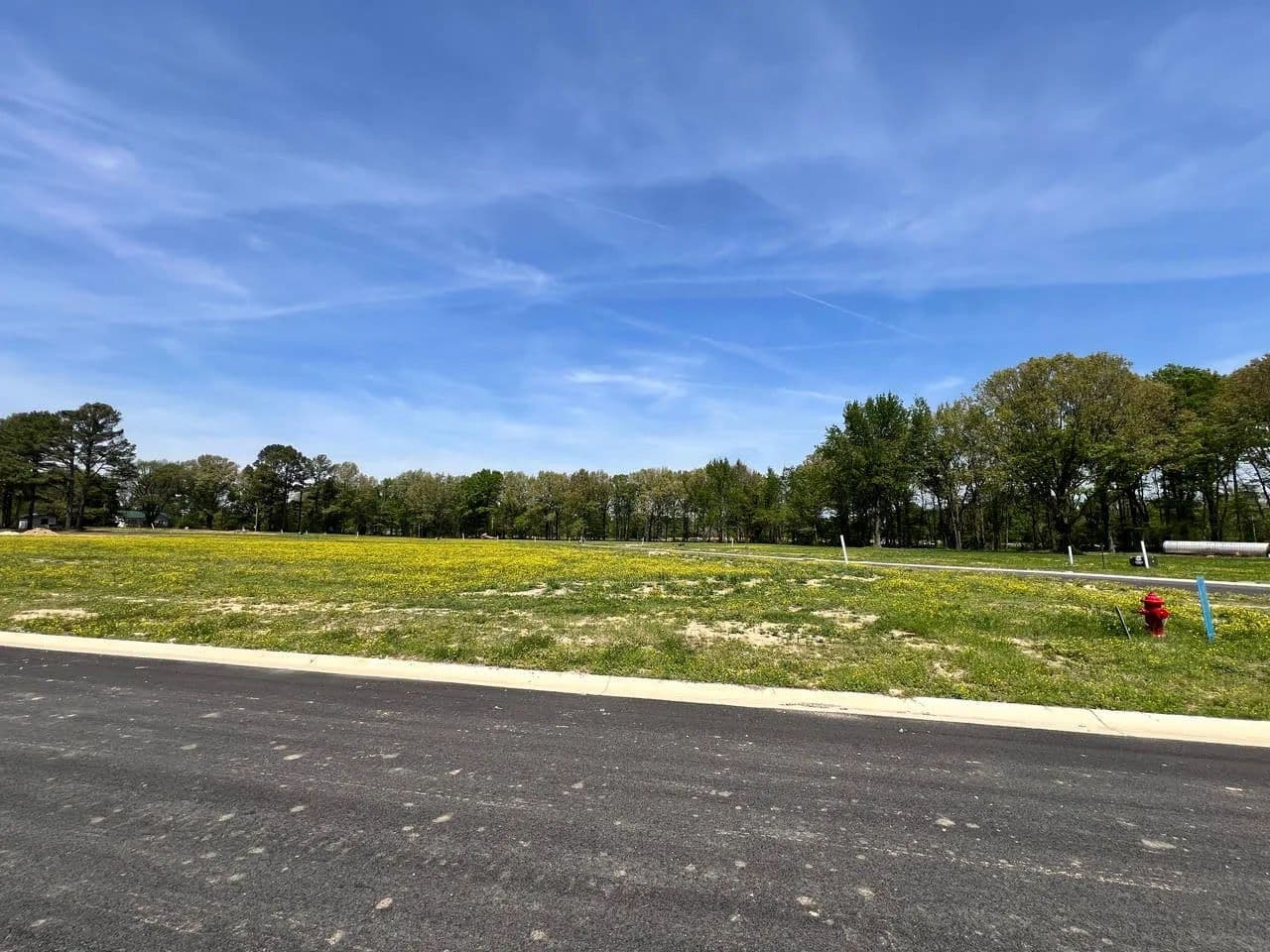 Land -Single Family Acreage in Brookland - Brookland, Arkansas, 72417
