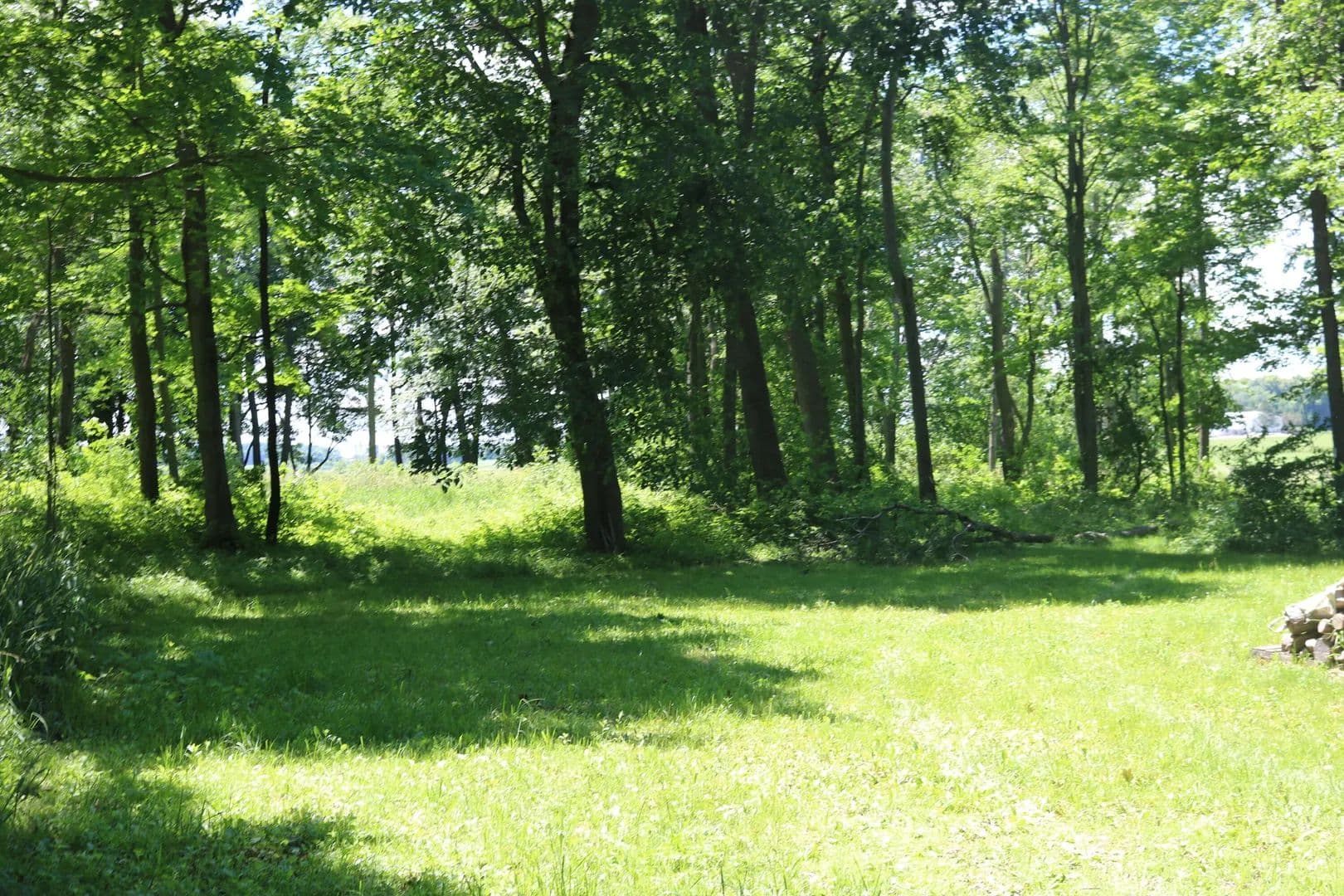 26 Acres of Land for Sale in Emmet, Wisconsin - Emmet, Wisconsin, 53098