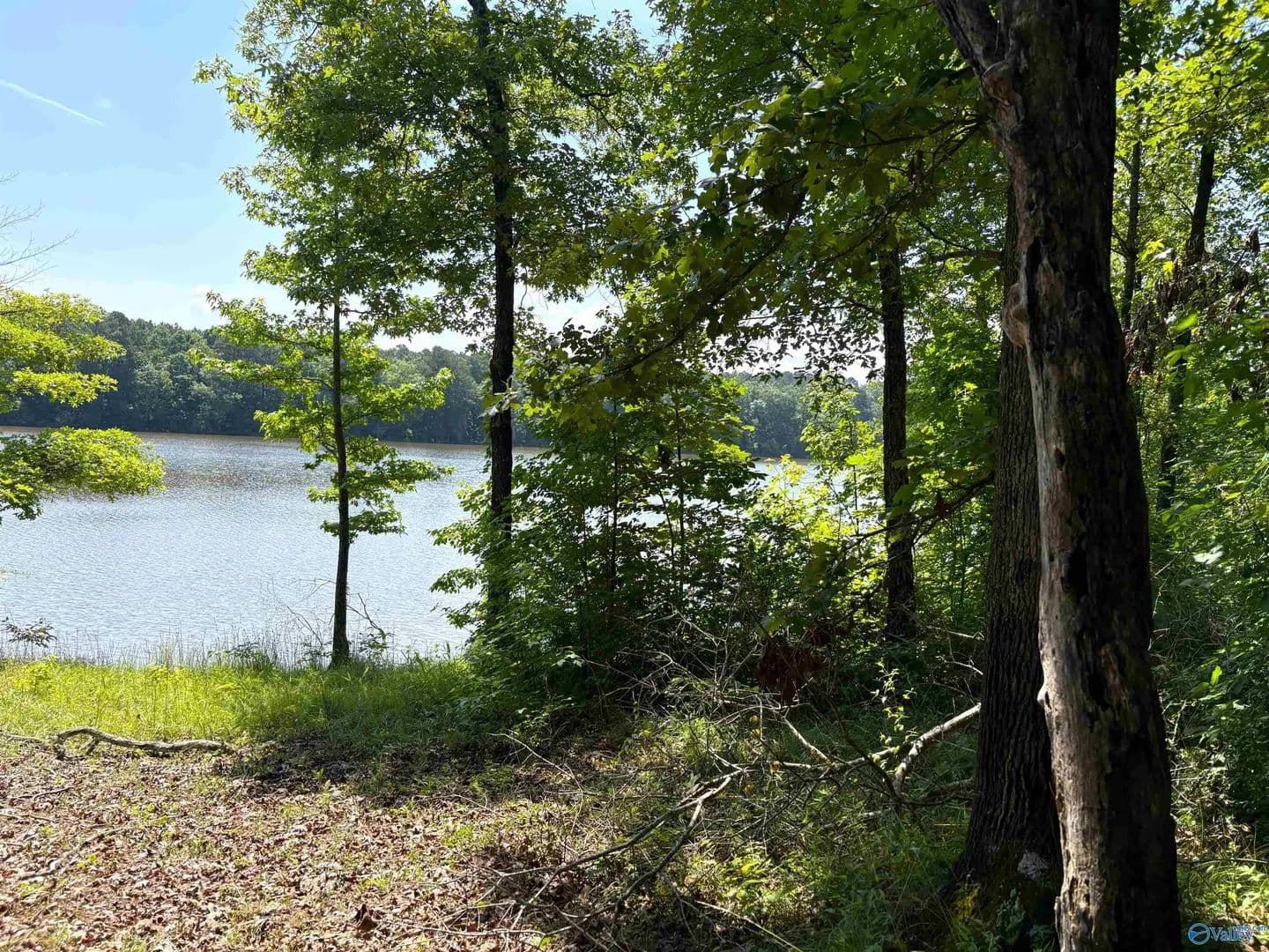 Property from 62+/- Acres County Road 628 - KW - Cedar Bluff, Alabama, 35959