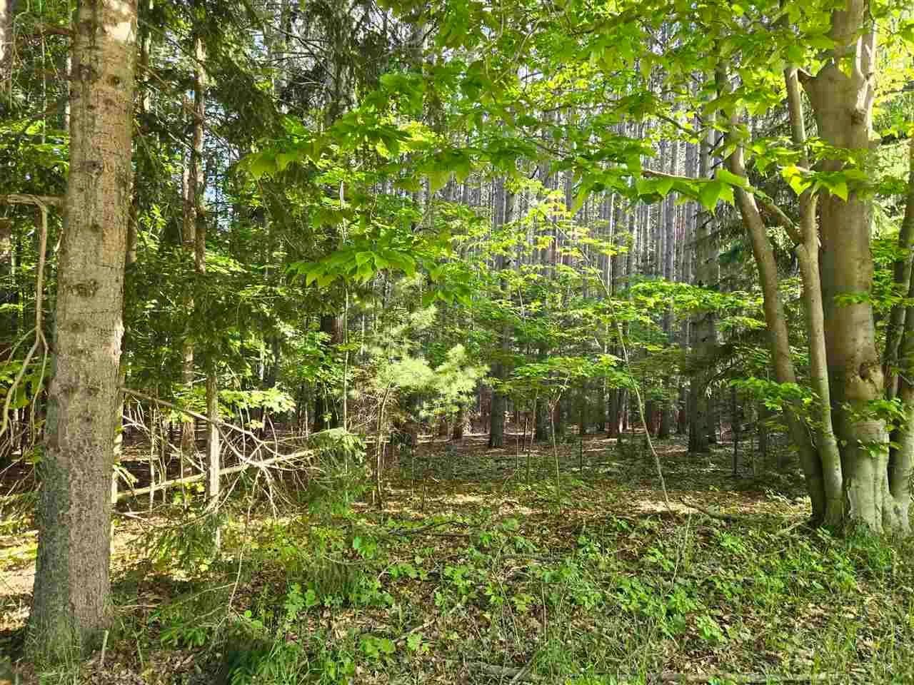 Property from 8869 Ferry Road - KW - East Jordan, Michigan, 49727