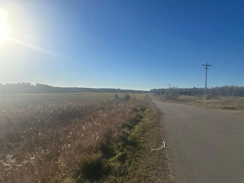 Land -Agricultural (Not Zoned) in Florence